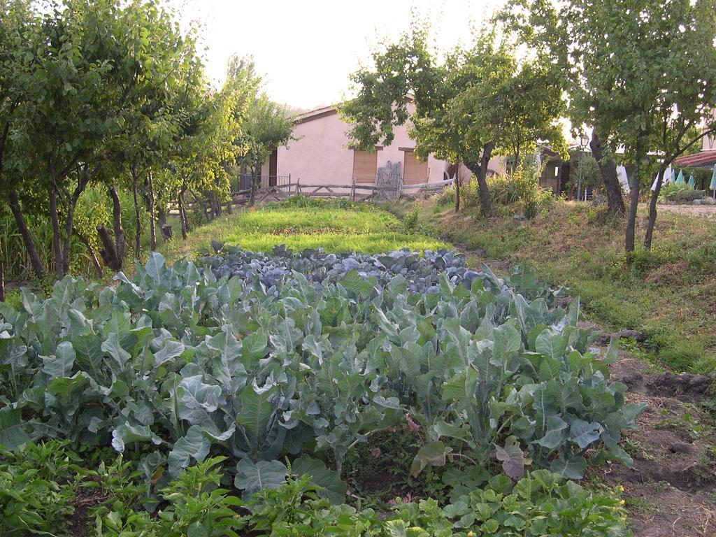 La Huerta De San Lorenzo Hotel Segovia Exterior photo